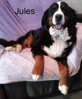 processed/27f686bf-8ae0-47cc-be77-5e6fba3cf8a4/facility/eb20aca7-d7ac-46cd-b4e6-832bac67551a