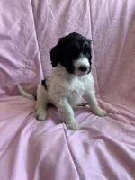 processed/27f686bf-8ae0-47cc-be77-5e6fba3cf8a4/listing/6e590c10-9541-4b2e-ad86-0449488a518b/74af364c-f5e8-4fea-8cb0-a9413199af22