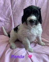 processed/27f686bf-8ae0-47cc-be77-5e6fba3cf8a4/listing/6e590c10-9541-4b2e-ad86-0449488a518b/76c1bc7a-1f17-4ed8-b15d-659ea1b365a2