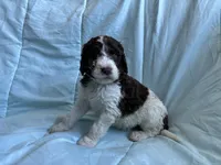 processed/27f686bf-8ae0-47cc-be77-5e6fba3cf8a4/listing/790f8401-c217-4d46-bbd8-2b954dae87a7/9a16fb6c-24d8-4de6-a2a9-e416e65719e6