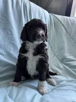 processed/27f686bf-8ae0-47cc-be77-5e6fba3cf8a4/listing/9adeb467-16c8-43f1-8847-9dfe1e419d89/1d00c134-f1b2-4068-9da7-6798ff702d4d