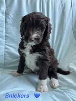 processed/27f686bf-8ae0-47cc-be77-5e6fba3cf8a4/listing/9adeb467-16c8-43f1-8847-9dfe1e419d89/a2566018-44bd-4154-b8c2-3ccf1d894d82