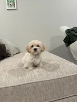 processed/27f73e2e-4e96-4515-9c48-90f627771f79/listing/f9139b18-dcad-48cb-8ce7-debbfd0fbb49/66db9484-5cf6-4666-9894-8d792276d173