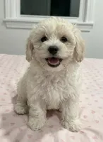 processed/27f73e2e-4e96-4515-9c48-90f627771f79/listing/f9139b18-dcad-48cb-8ce7-debbfd0fbb49/c1ff8eed-595d-480d-b1bc-4b06651f2e72