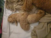 processed/27f8db77-0426-4fee-aec9-44b29610bd7f/facility/1fc4a985-409b-40ab-8781-79f5fd290fc8