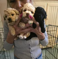 processed/27f8db77-0426-4fee-aec9-44b29610bd7f/facility/2c55376b-e5d4-4113-9dfd-1ce1ade7b43c