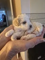 processed/27f8db77-0426-4fee-aec9-44b29610bd7f/facility/49056694-715a-438c-8a4a-0fadc3a334c6