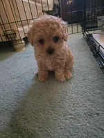 processed/27f8db77-0426-4fee-aec9-44b29610bd7f/facility/54ef8b2d-7f8d-4e25-94f0-0d11d38338fc