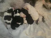 processed/27f8db77-0426-4fee-aec9-44b29610bd7f/facility/b8c69cdf-5737-402e-aebb-41aff960ad16