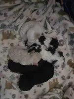 processed/27f8db77-0426-4fee-aec9-44b29610bd7f/facility/c44bd169-1bcf-47ad-93f8-b1e01c83864f