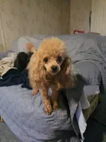 processed/27f8db77-0426-4fee-aec9-44b29610bd7f/facility/d051bcac-e506-49c6-a38a-960a977495ff