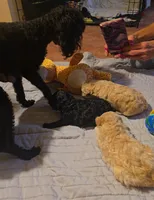 processed/27f8db77-0426-4fee-aec9-44b29610bd7f/facility/ee21817e-a1aa-4f61-b724-507f537af1b7