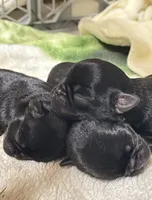 processed/27fb136f-e15f-4880-8f94-f76fc56b55c1/listing/20e726c1-373a-4720-b9ac-d960e2de09d8/81e8898c-86cf-481e-aca8-55f48a8d802a