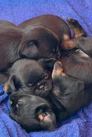 processed/27fb136f-e15f-4880-8f94-f76fc56b55c1/listing/20e726c1-373a-4720-b9ac-d960e2de09d8/a4edd342-da68-453c-9717-8aec1b792189