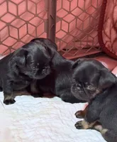 processed/27fb136f-e15f-4880-8f94-f76fc56b55c1/listing/20e726c1-373a-4720-b9ac-d960e2de09d8/e4a9a922-8fb8-453e-a557-2b9309ce3ba8