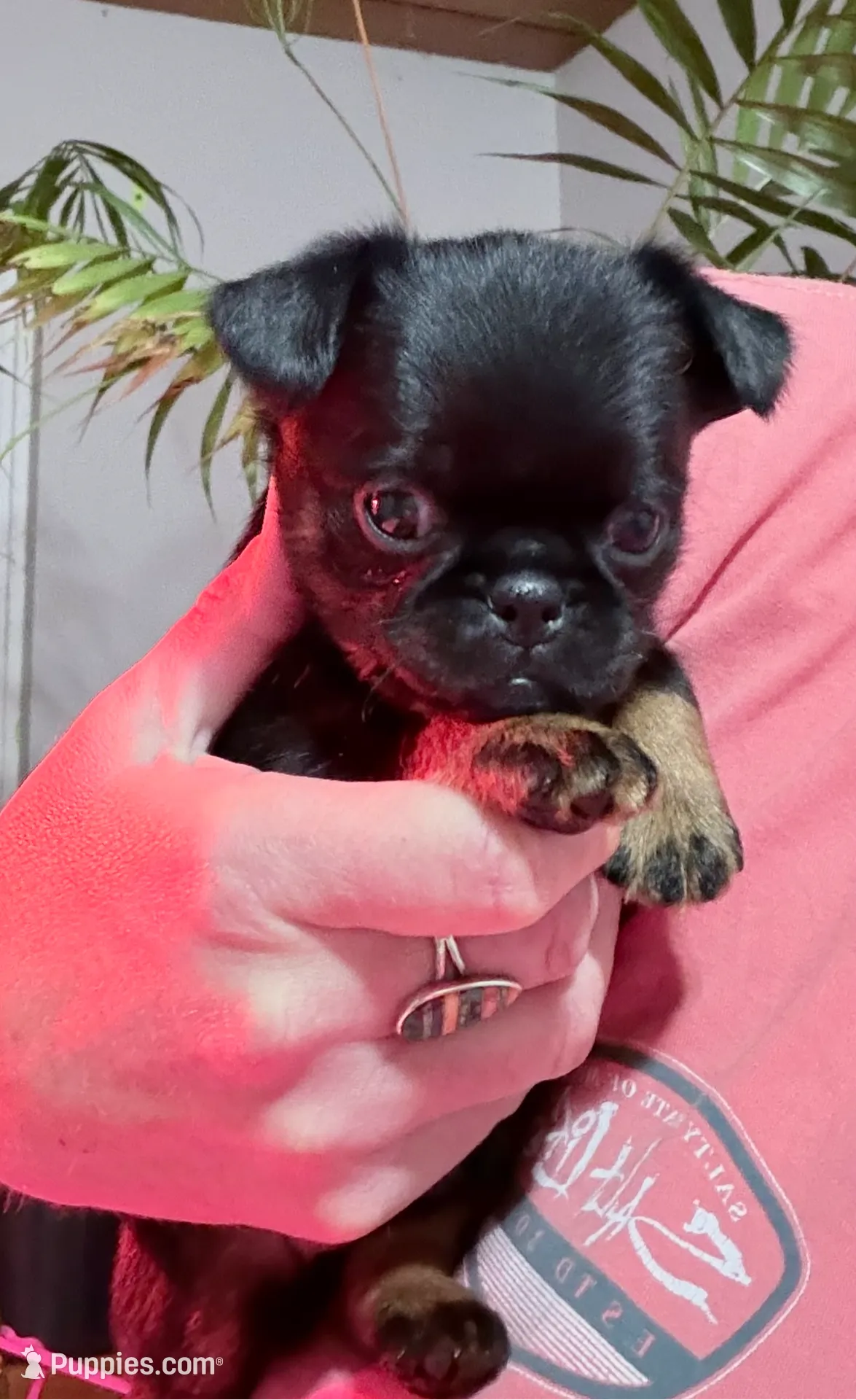 processed/27fb136f-e15f-4880-8f94-f76fc56b55c1/listing/d2051ef7-6018-4876-ba97-512441441104/2ecba6f8-19a8-4238-bb88-4b3b3bc6bd1d