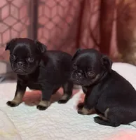 processed/27fb136f-e15f-4880-8f94-f76fc56b55c1/listing/d2051ef7-6018-4876-ba97-512441441104/915048ba-23a6-43b5-ba3c-4b8e6fb82dbd