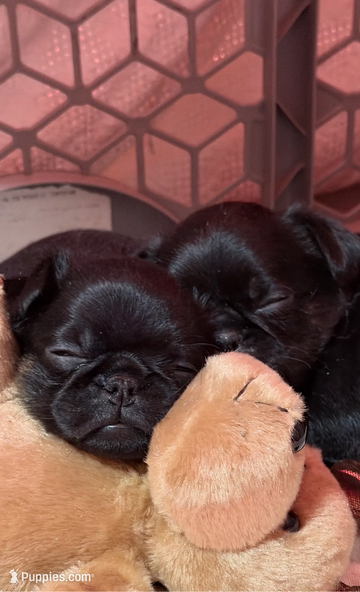 processed/27fb136f-e15f-4880-8f94-f76fc56b55c1/listing/d2051ef7-6018-4876-ba97-512441441104/fb81ec30-e27d-4c86-ba65-ce78fe4d8b0f