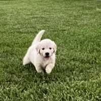 processed/27fe8293-f663-438d-a469-b175419b650a/facility/db7c90ff-0381-4f98-b1af-a7cc54c81833