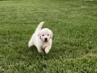 processed/27fe8293-f663-438d-a469-b175419b650a/facility/db7c90ff-0381-4f98-b1af-a7cc54c81833