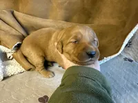 processed/2804270c-a504-44fb-aa15-f2d0d235c5c6/listing/1efbc208-b44a-4fce-be4b-f33cddf0a943/9f7ff25c-4ed6-4b6f-b35c-b14ebbe08c1b