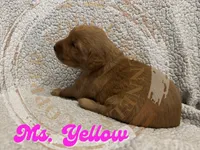 processed/2804270c-a504-44fb-aa15-f2d0d235c5c6/listing/1efbc208-b44a-4fce-be4b-f33cddf0a943/b681b55b-cbb3-4eeb-93bd-0fb8082d76dd