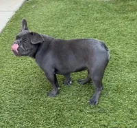 processed/28077dd1-eee5-4a5c-838e-3a0d3673f11b/listing/b98b4887-47ba-415a-aa76-67f1c57e2c9d/452b63e9-05ad-4caa-bdaa-bca7163e1de9