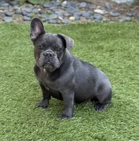 processed/28077dd1-eee5-4a5c-838e-3a0d3673f11b/listing/b98b4887-47ba-415a-aa76-67f1c57e2c9d/7e918969-a29a-431e-abfb-23f89f4860d0