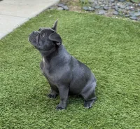 processed/28077dd1-eee5-4a5c-838e-3a0d3673f11b/listing/b98b4887-47ba-415a-aa76-67f1c57e2c9d/bc673142-dd4e-465b-be2c-1a3cb213c556