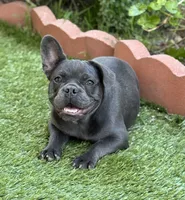 processed/28077dd1-eee5-4a5c-838e-3a0d3673f11b/listing/b98b4887-47ba-415a-aa76-67f1c57e2c9d/c94c5a7f-0146-4a60-9298-621ea84aeec0