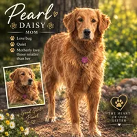 Apple red collar female , a female Golden Retriever for sale in Show Low, AZ – 4 of 5