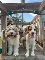 processed/281b4e36-c45d-48eb-af6e-42d85c024c0b/listing/186f12d5-82a1-493f-9c2d-654e4453eb11/2524f504-be8d-4cc1-b1fa-49961e6e00eb