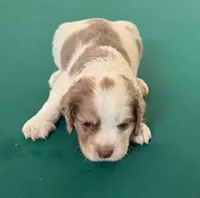 processed/281b4e36-c45d-48eb-af6e-42d85c024c0b/listing/186f12d5-82a1-493f-9c2d-654e4453eb11/721f95e2-343b-4d2e-9bee-26de96859999