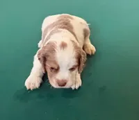 processed/281b4e36-c45d-48eb-af6e-42d85c024c0b/listing/186f12d5-82a1-493f-9c2d-654e4453eb11/bdad394c-754a-40eb-9298-829646a261d4