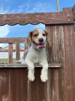 processed/281b4e36-c45d-48eb-af6e-42d85c024c0b/listing/186f12d5-82a1-493f-9c2d-654e4453eb11/df1a8fdd-0721-4ab4-a063-7e2d7bed644d