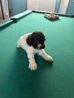 processed/281b4e36-c45d-48eb-af6e-42d85c024c0b/listing/86343fee-a4bb-4319-9226-d1b2537dc47d/117de071-1b4e-4b92-8cab-eeda59fe780f