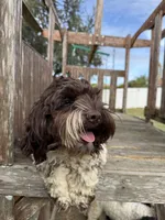 processed/281b4e36-c45d-48eb-af6e-42d85c024c0b/listing/86343fee-a4bb-4319-9226-d1b2537dc47d/a20ace1d-19bb-4716-a28c-a0a2837834e7