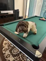 processed/281b4e36-c45d-48eb-af6e-42d85c024c0b/listing/86343fee-a4bb-4319-9226-d1b2537dc47d/d80513c0-3f4c-4ad7-a2d2-622d4770784d