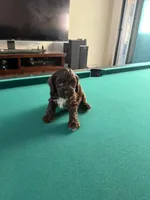 processed/281b4e36-c45d-48eb-af6e-42d85c024c0b/listing/bdebbd68-dda1-4895-b722-ca9fadb2ee6e/346515df-b697-4b88-bd44-941cd18096d9