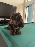 processed/281b4e36-c45d-48eb-af6e-42d85c024c0b/listing/bdebbd68-dda1-4895-b722-ca9fadb2ee6e/3772ece0-94e1-41e5-ab5d-106f6af08614