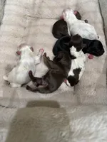 processed/281b4e36-c45d-48eb-af6e-42d85c024c0b/listing/bdebbd68-dda1-4895-b722-ca9fadb2ee6e/4c7cdd33-ca97-42cb-88d4-1890eaacd8fb