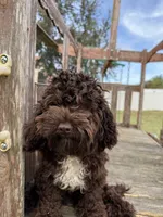 processed/281b4e36-c45d-48eb-af6e-42d85c024c0b/listing/bdebbd68-dda1-4895-b722-ca9fadb2ee6e/8c4ea393-bdbe-4802-9593-3c082621f69f