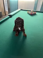 processed/281b4e36-c45d-48eb-af6e-42d85c024c0b/listing/bdebbd68-dda1-4895-b722-ca9fadb2ee6e/a1534bdc-33d2-4189-b32b-9b33be202216