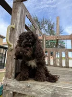 processed/281b4e36-c45d-48eb-af6e-42d85c024c0b/listing/bdebbd68-dda1-4895-b722-ca9fadb2ee6e/a753a2b4-2d87-4669-bf00-3aab15dbc793