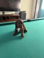 processed/281b4e36-c45d-48eb-af6e-42d85c024c0b/listing/bdebbd68-dda1-4895-b722-ca9fadb2ee6e/ff913f11-02ae-42c3-8cb1-f8e252160e54