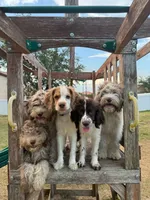 processed/281b4e36-c45d-48eb-af6e-42d85c024c0b/listing/c16deaa0-83ab-482d-b40e-d3eeddd84264/26d2e757-117b-4616-8565-0a33d937edd5