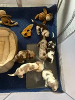 processed/281b4e36-c45d-48eb-af6e-42d85c024c0b/listing/c16deaa0-83ab-482d-b40e-d3eeddd84264/283bc587-ddb2-4281-aa52-c144c7c9d4c0