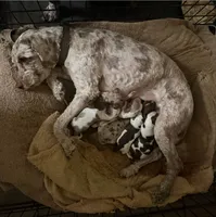 processed/281b4e36-c45d-48eb-af6e-42d85c024c0b/listing/c16deaa0-83ab-482d-b40e-d3eeddd84264/3bc4776e-a433-40b3-93f2-88d02dca0dcb