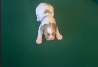 processed/281b4e36-c45d-48eb-af6e-42d85c024c0b/listing/c16deaa0-83ab-482d-b40e-d3eeddd84264/3c1651e2-a0c9-43c2-87a3-53a984dd055d