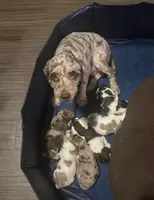 processed/281b4e36-c45d-48eb-af6e-42d85c024c0b/listing/c16deaa0-83ab-482d-b40e-d3eeddd84264/50232a4a-2813-4857-bd45-80a442194d4a